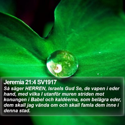 Jeremia 21:4 SV1917 Bible Verse Image