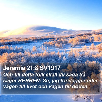 Jeremia 21:8 SV1917 Bible Verse Image