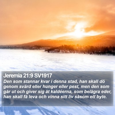 Jeremia 21:9 SV1917 Bible Verse Image