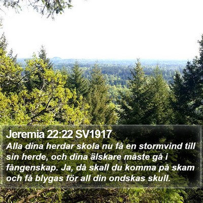Jeremia 22:22 SV1917 Bible Verse Image