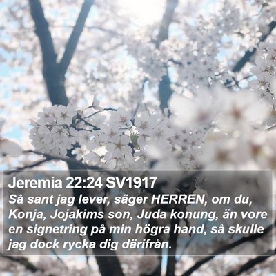 Jeremia 22:24 SV1917 Bible Verse Image