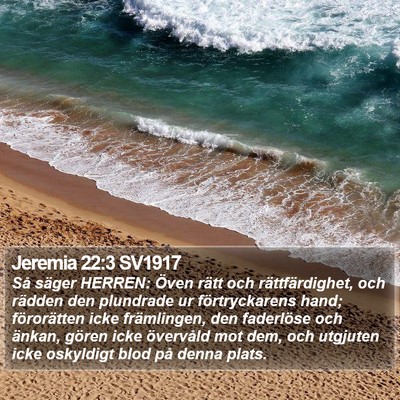 Jeremia 22:3 SV1917 Bible Verse Image
