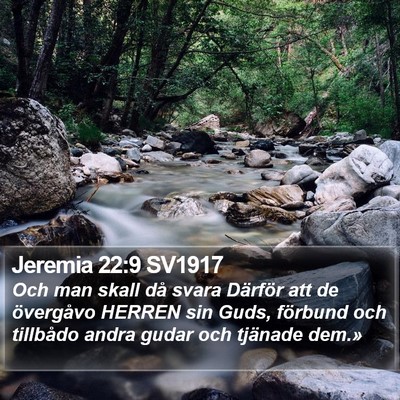 Jeremia 22:9 SV1917 Bible Verse Image
