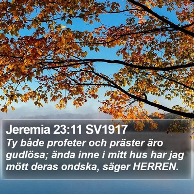 Jeremia 23:11 SV1917 Bible Verse Image