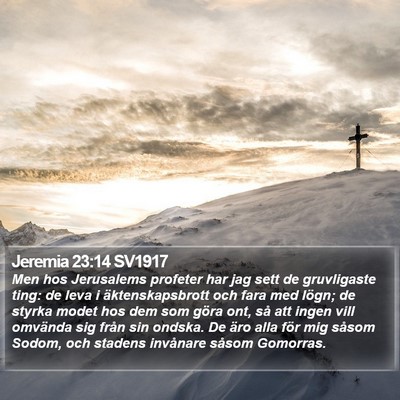 Jeremia 23:14 SV1917 Bible Verse Image