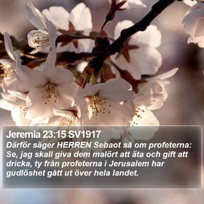 Jeremia 23:15 SV1917 Bible Verse Image