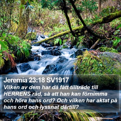 Jeremia 23:18 SV1917 Bible Verse Image