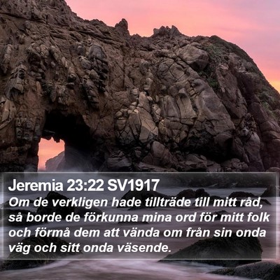 Jeremia 23:22 SV1917 Bible Verse Image