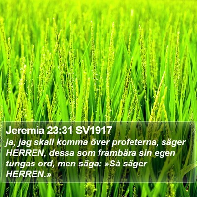 Jeremia 23:31 SV1917 Bible Verse Image