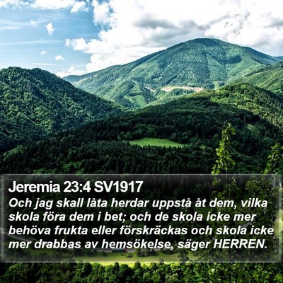 Jeremia 23:4 SV1917 Bible Verse Image