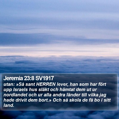 Jeremia 23:8 SV1917 Bible Verse Image