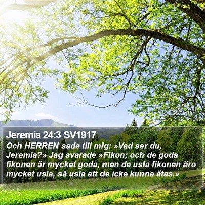Jeremia 24:3 SV1917 Bible Verse Image