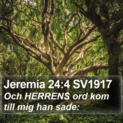 Jeremia 24:4 SV1917 Bible Verse Image