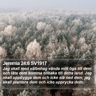 Jeremia 24:6 SV1917 Bible Verse Image