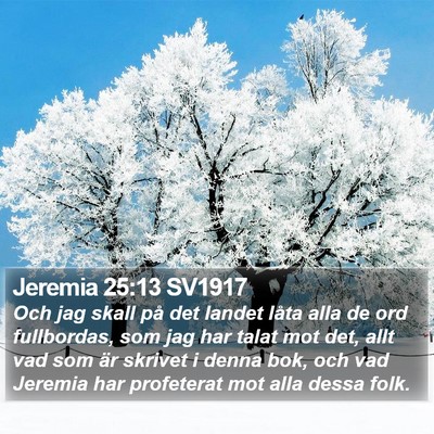 Jeremia 25:13 SV1917 Bible Verse Image