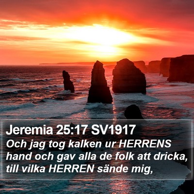 Jeremia 25:17 SV1917 Bible Verse Image