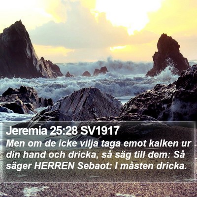 Jeremia 25:28 SV1917 Bible Verse Image