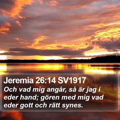 Jeremia 26:14 SV1917 Bible Verse Image