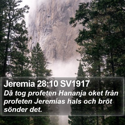 Jeremia 28:10 SV1917 Bible Verse Image