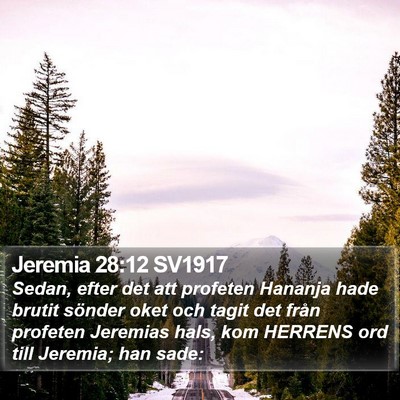 Jeremia 28:12 SV1917 Bible Verse Image