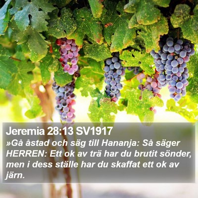 Jeremia 28:13 SV1917 Bible Verse Image