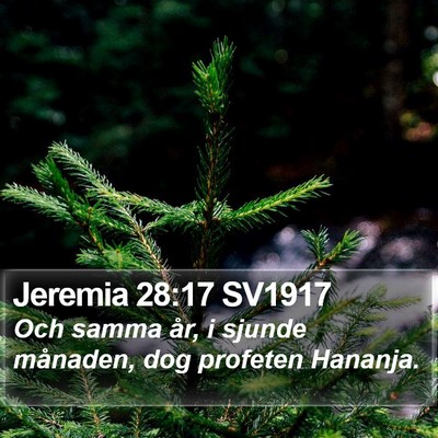 Jeremia 28:17 SV1917 Bible Verse Image