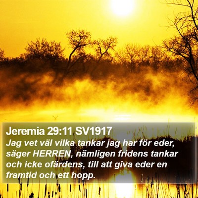 Jeremia 29:11 SV1917 Bible Verse Image