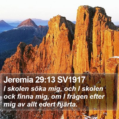 Jeremia 29:13 SV1917 Bible Verse Image