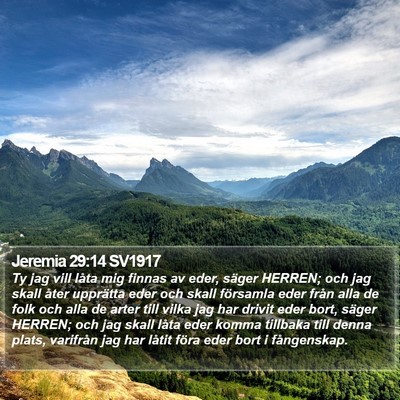 Jeremia 29:14 SV1917 Bible Verse Image