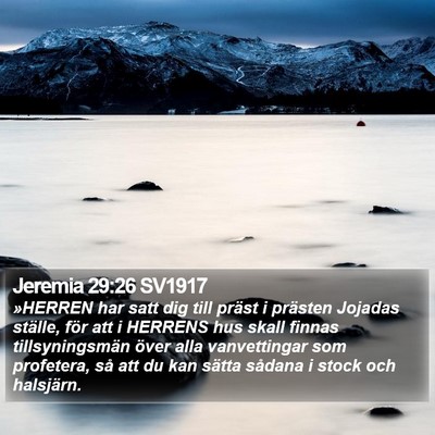 Jeremia 29:26 SV1917 Bible Verse Image
