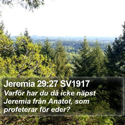 Jeremia 29:27 SV1917 Bible Verse Image