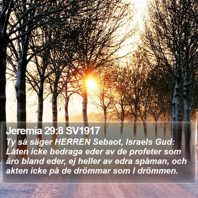 Jeremia 29:8 SV1917 Bible Verse Image
