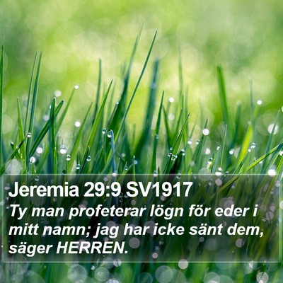 Jeremia 29:9 SV1917 Bible Verse Image