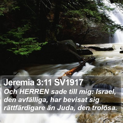 Jeremia 3:11 SV1917 Bible Verse Image