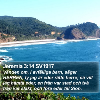 Jeremia 3:14 SV1917 Bible Verse Image