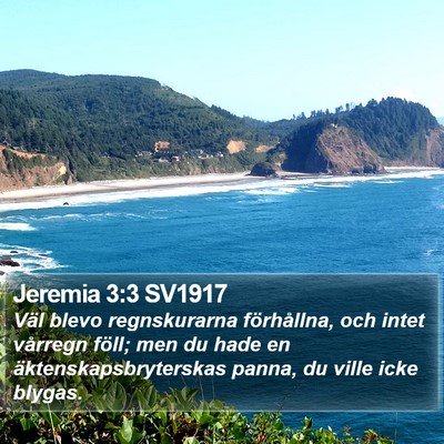 Jeremia 3:3 SV1917 Bible Verse Image
