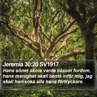 Jeremia 30:20 SV1917 Bible Verse Image