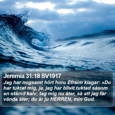 Jeremia 31:18 SV1917 Bible Verse Image