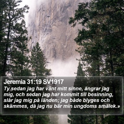 Jeremia 31:19 SV1917 Bible Verse Image