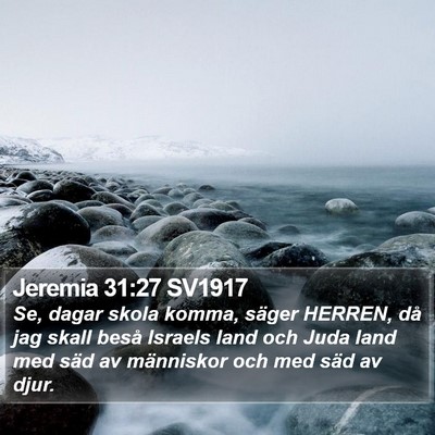 Jeremia 31:27 SV1917 Bible Verse Image