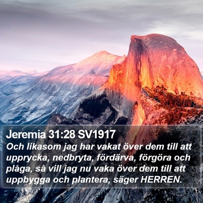 Jeremia 31:28 SV1917 Bible Verse Image