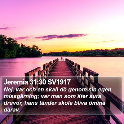Jeremia 31:30 SV1917 Bible Verse Image