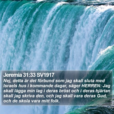 Jeremia 31:33 SV1917 Bible Verse Image