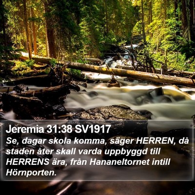Jeremia 31:38 SV1917 Bible Verse Image