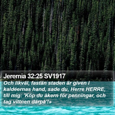 Jeremia 32:25 SV1917 Bible Verse Image