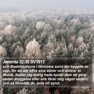 Jeremia 32:35 SV1917 Bible Verse Image