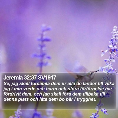 Jeremia 32:37 SV1917 Bible Verse Image