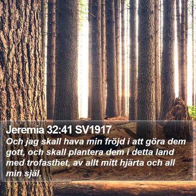 Jeremia 32:41 SV1917 Bible Verse Image