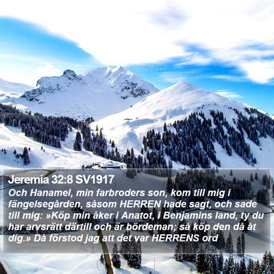 Jeremia 32:8 SV1917 Bible Verse Image