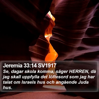 Jeremia 33:14 SV1917 Bible Verse Image